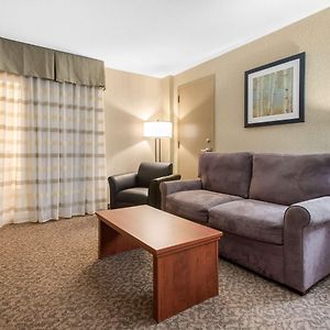 King Suite Sofa Bed Non-Smoking